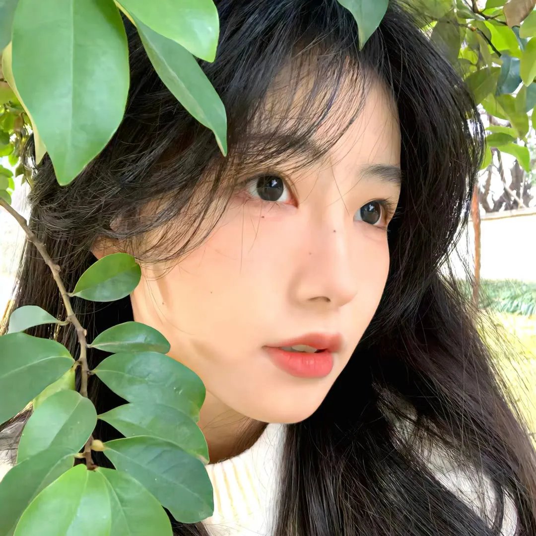 人海孤鸿